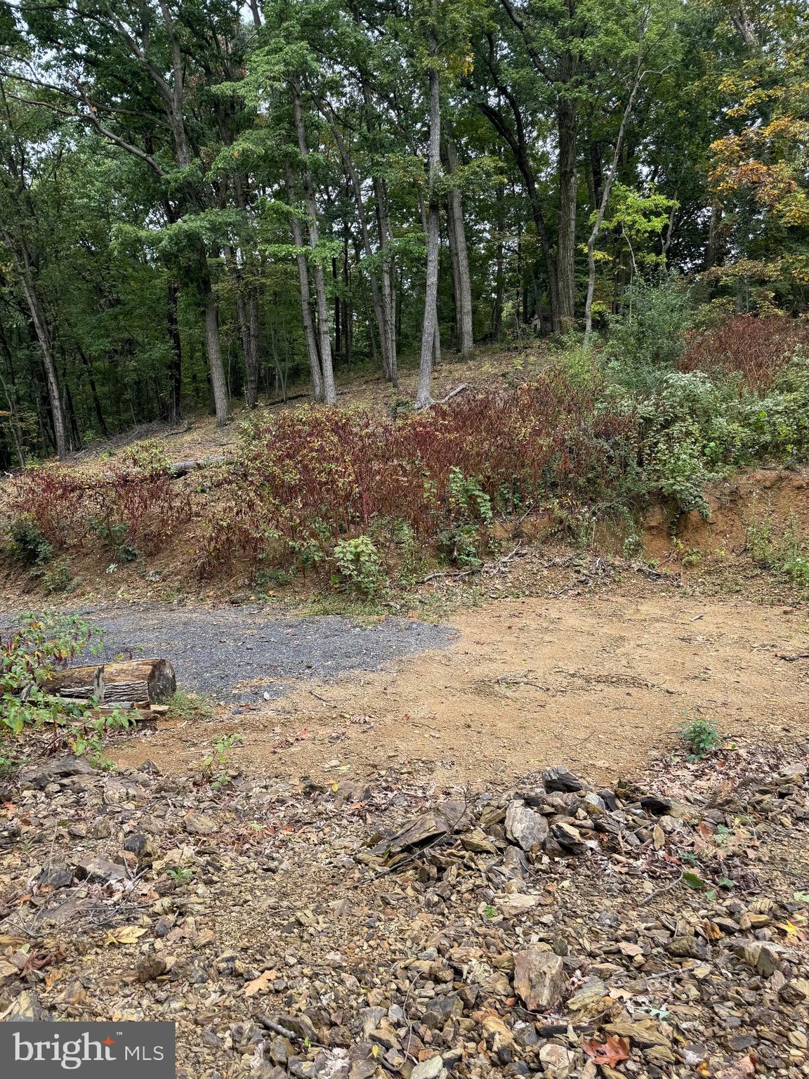 1099 Dowhower Road Harrisburg, PA 17111 - Photo 5 of 19 a backyard of a house with lots of green space