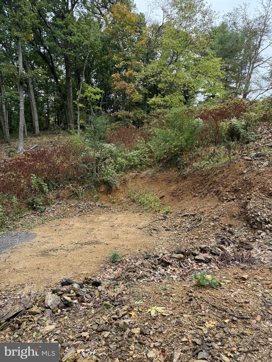 1099 Dowhower Road Harrisburg, PA 17111 - Photo 6 of 19 a view of a yard with a tree