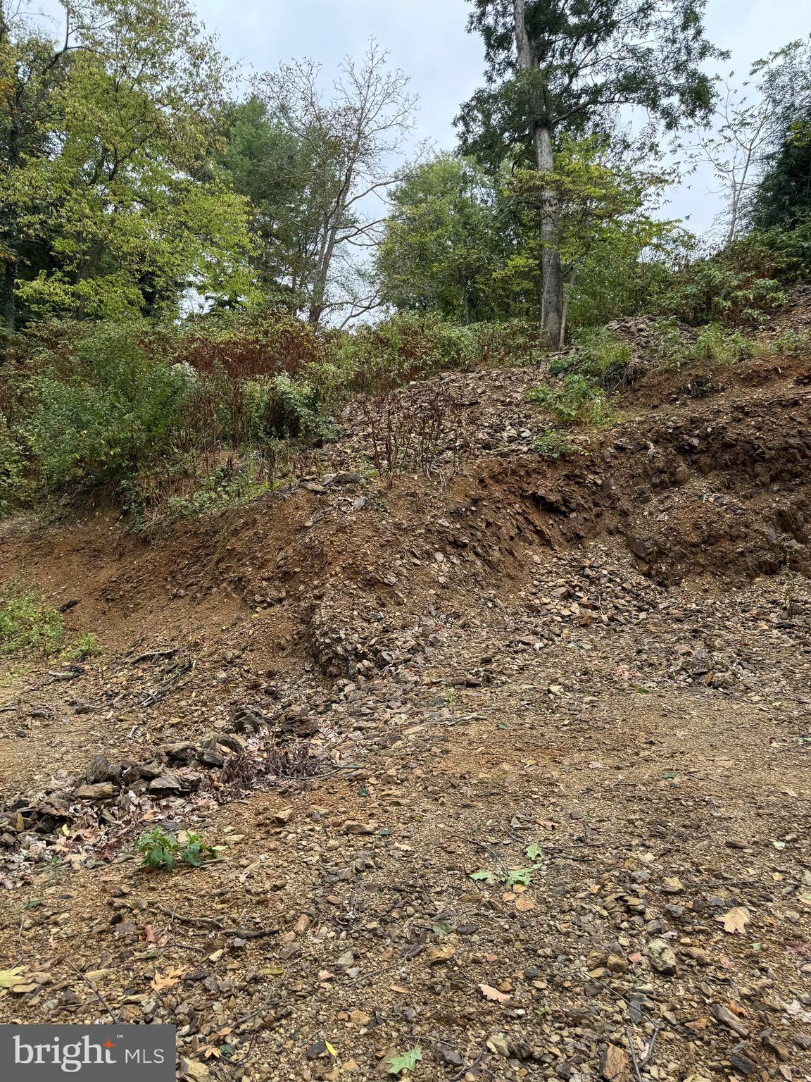 1099 Dowhower Road Harrisburg, PA 17111 - Photo 7 of 19 a view of a yard with plants and large trees