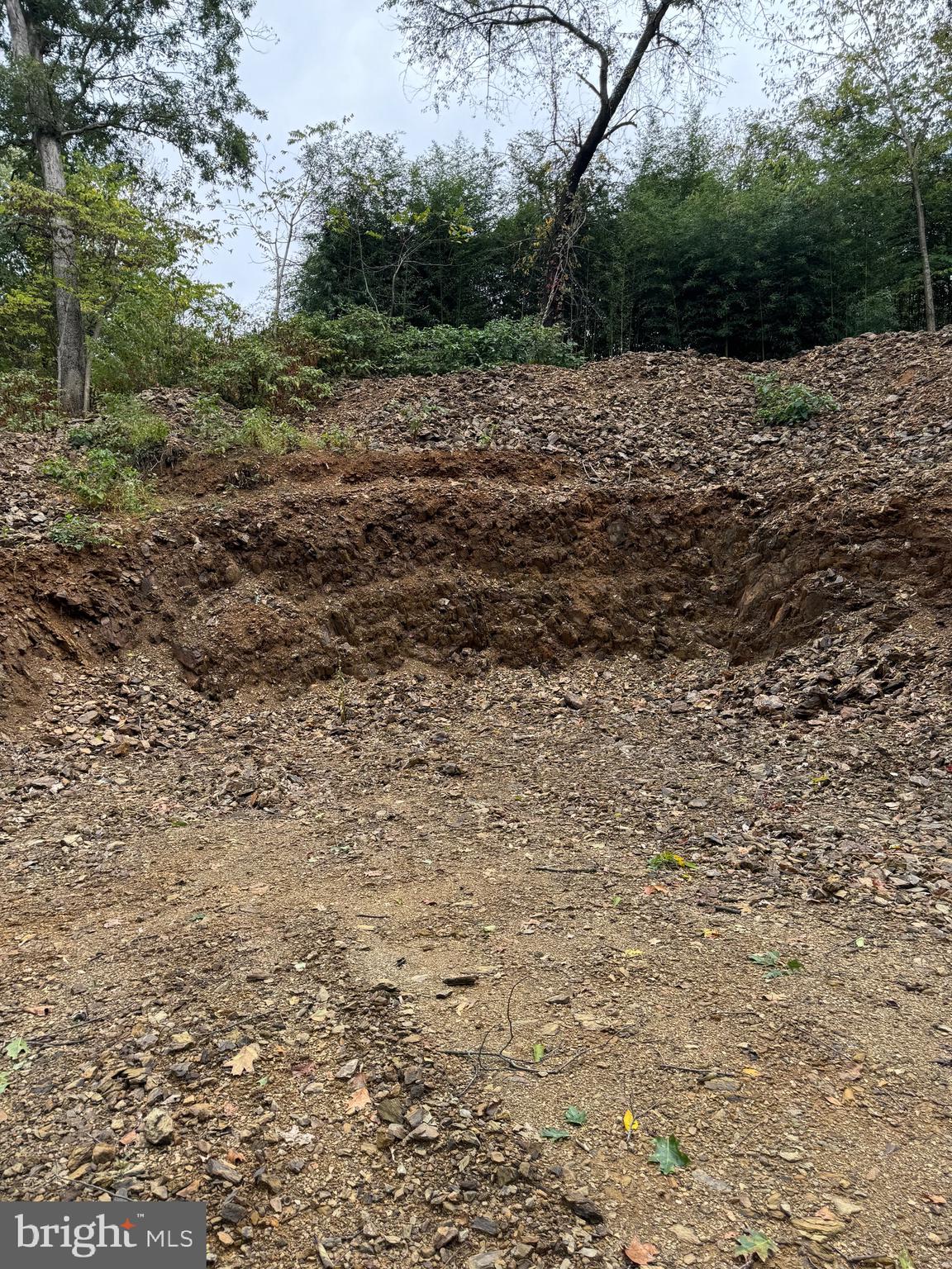 1099 Dowhower Road Harrisburg, PA 17111 - Photo 8 of 19 a view of a dry yard with trees