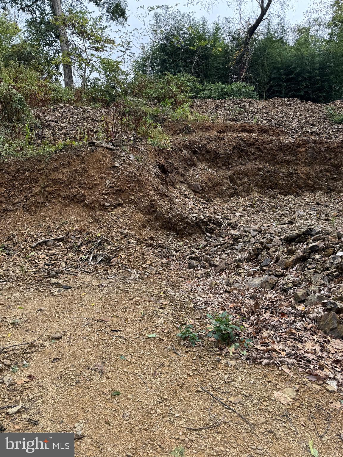 1099 Dowhower Road Harrisburg, PA 17111 - Photo 9 of 19 a view of a yard with a tree