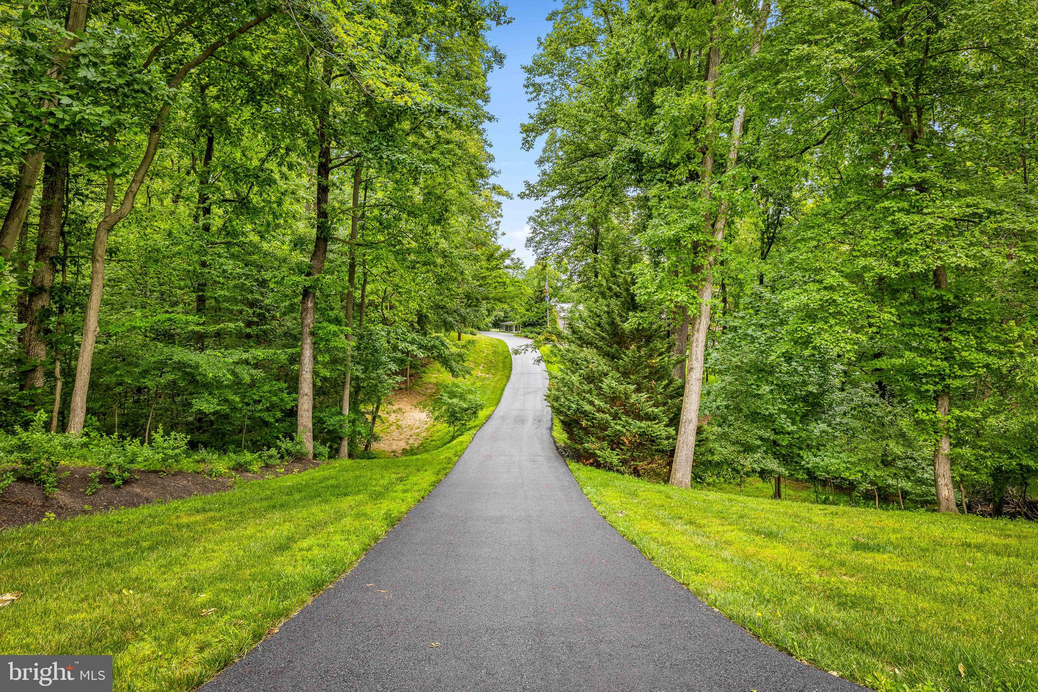 14536 Black Ankle Road Mount Airy, MD 21771 - Photo 41 of 41 Serene path through lush greenery.