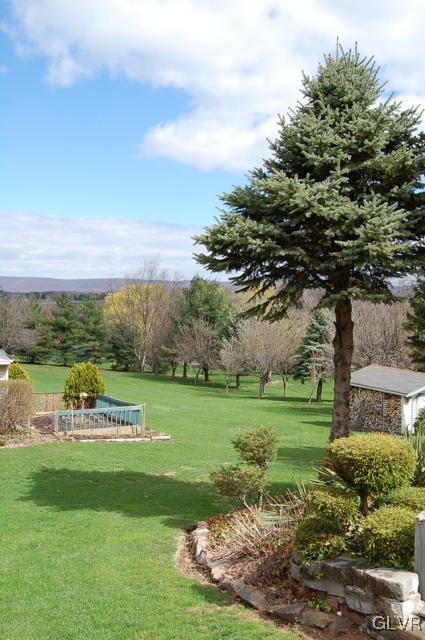 466 Nolf Road Nazareth, PA 18064 - Photo 4 of 27 a view of a park with an trees