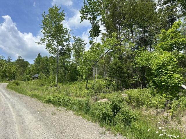 Lot 2 Hammond Brook Road Monson, ME 04464 - Photo 5 of 8