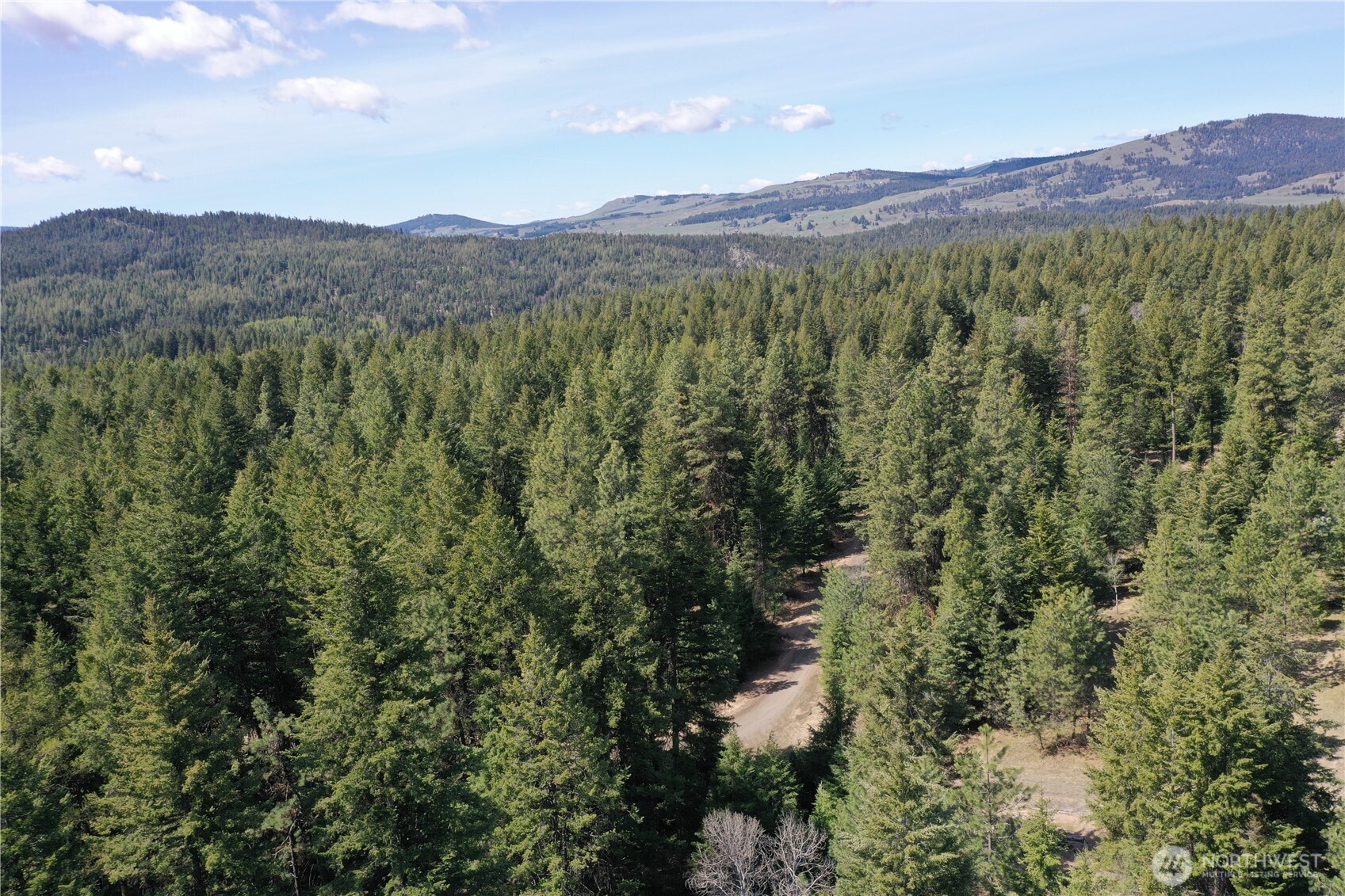 65A Spring Meadow Lane Oroville, WA 98844 - Photo 12 of 40 a view of a lush green hillside and a building