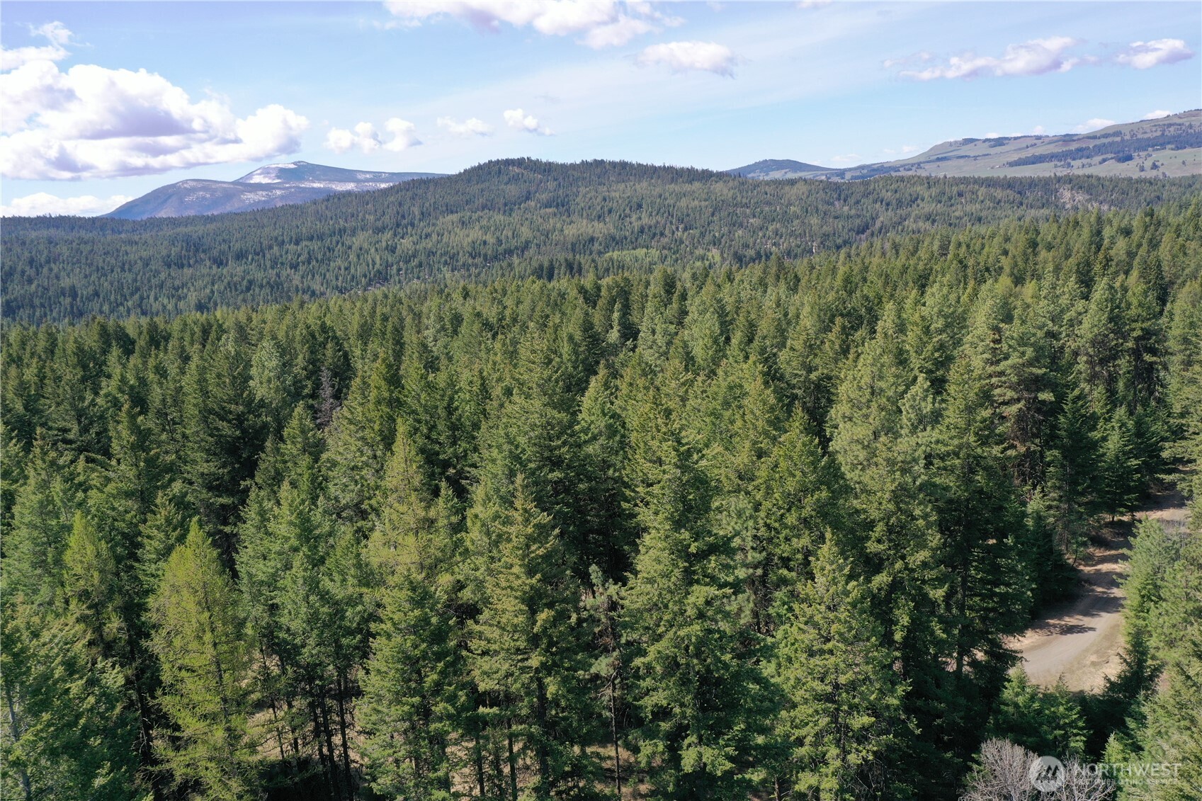 65A Spring Meadow Lane Oroville, WA 98844 - Photo 13 of 40 a view of a city with lush green forest