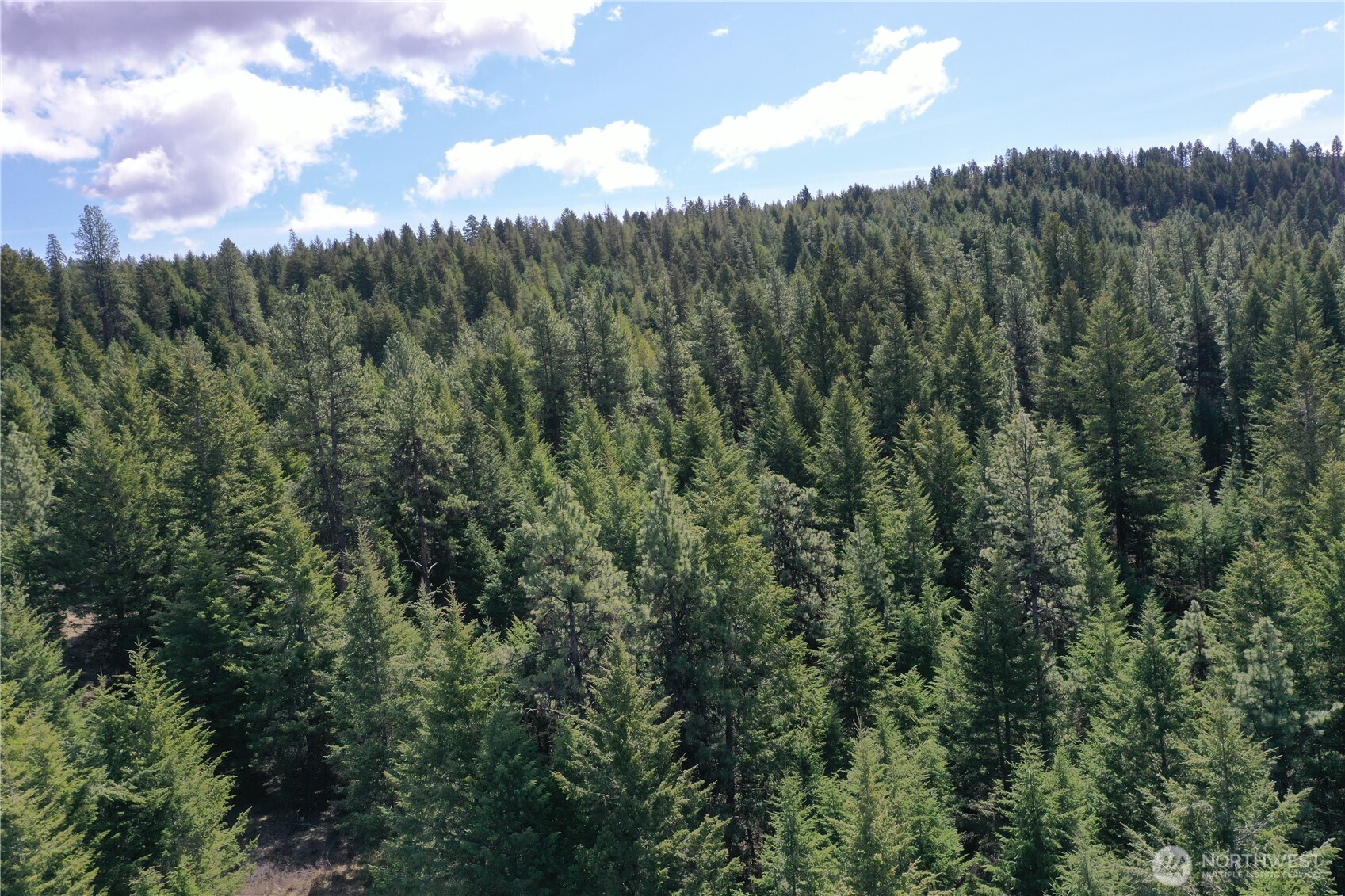 65A Spring Meadow Lane Oroville, WA 98844 - Photo 15 of 40 a view of a city with lush green forest