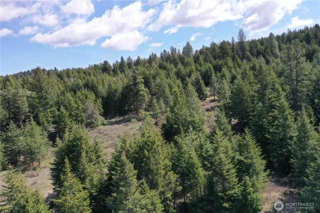 a view of a green field with lots of trees