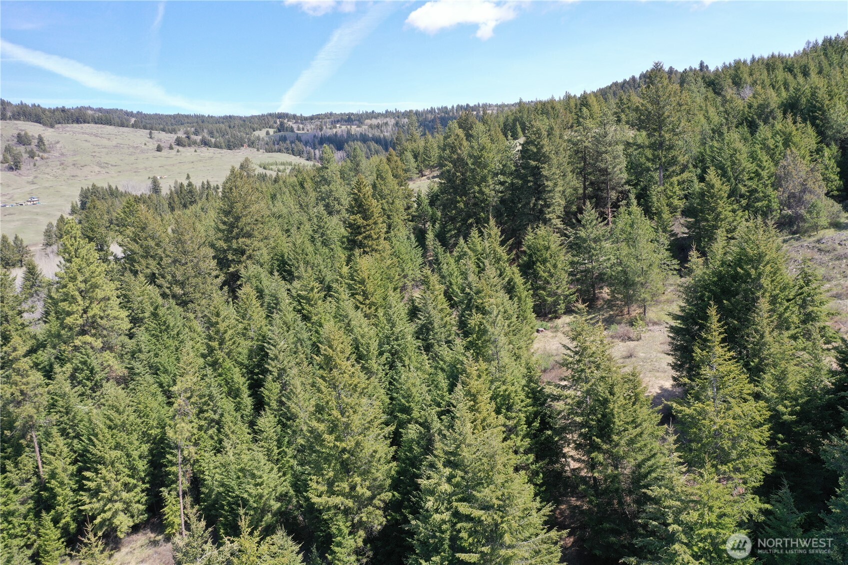 65A Spring Meadow Lane Oroville, WA 98844 - Photo 17 of 40