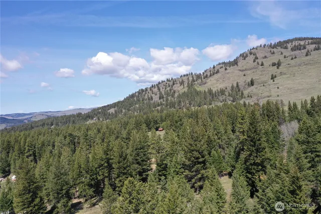 an aerial view of a house with a yard and large trees