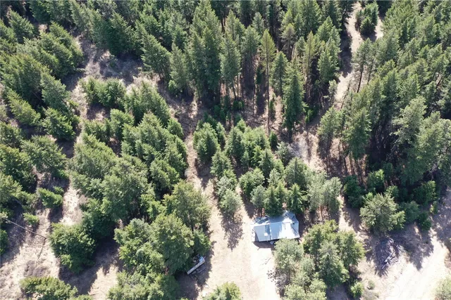a view of a city with lush green forest
