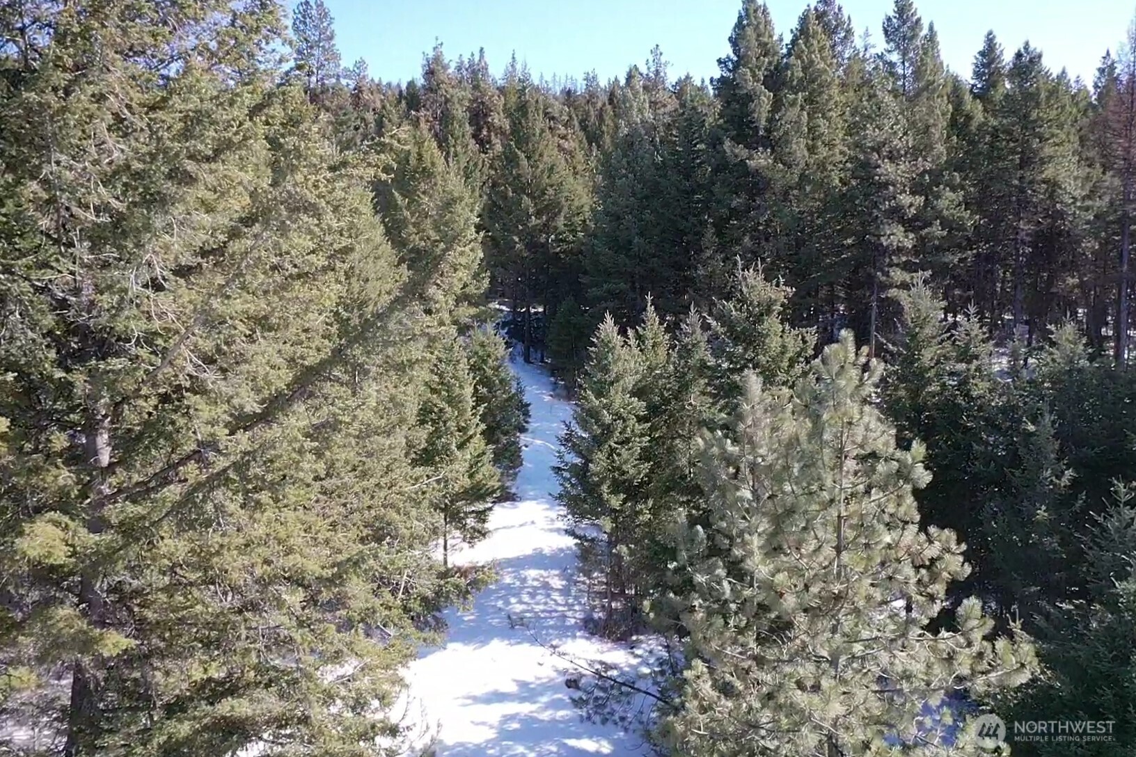 65A Spring Meadow Lane Oroville, WA 98844 - Photo 32 of 40 a view of a yard with a tree