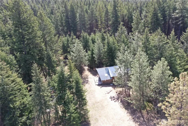 a view of a bench in a forest
