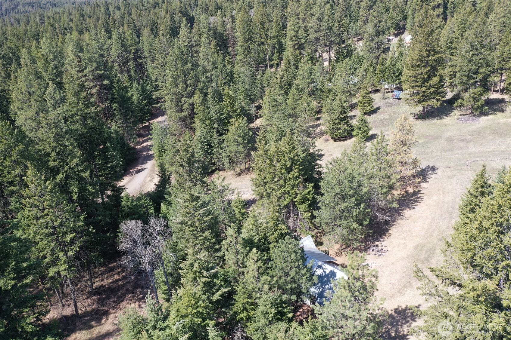 65A Spring Meadow Lane Oroville, WA 98844 - Photo 10 of 40 a view of a forest with a tree