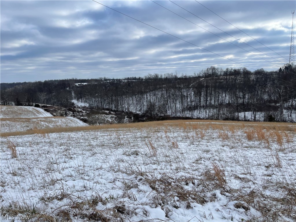 Sandy Lane Chesterhill, OH 43728 - Photo 7 of 15