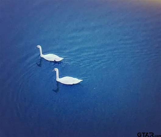 $425,000 | 3351 Cascades Court, Unit 321, Tyler, TX 75709