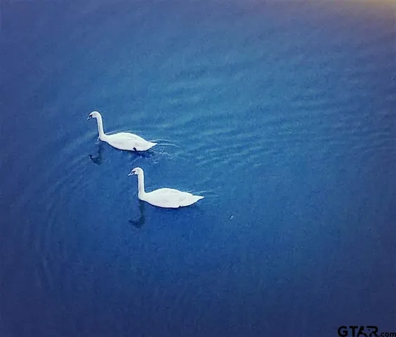 $425,000 | 3351 Cascades Court, Unit 321, Tyler, TX 75709