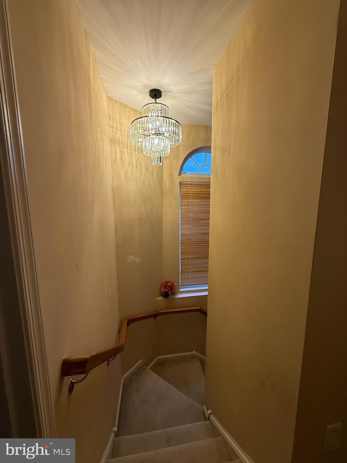 80 Colts Neck Drive Sicklerville, NJ 08081 - Photo 11 of 14