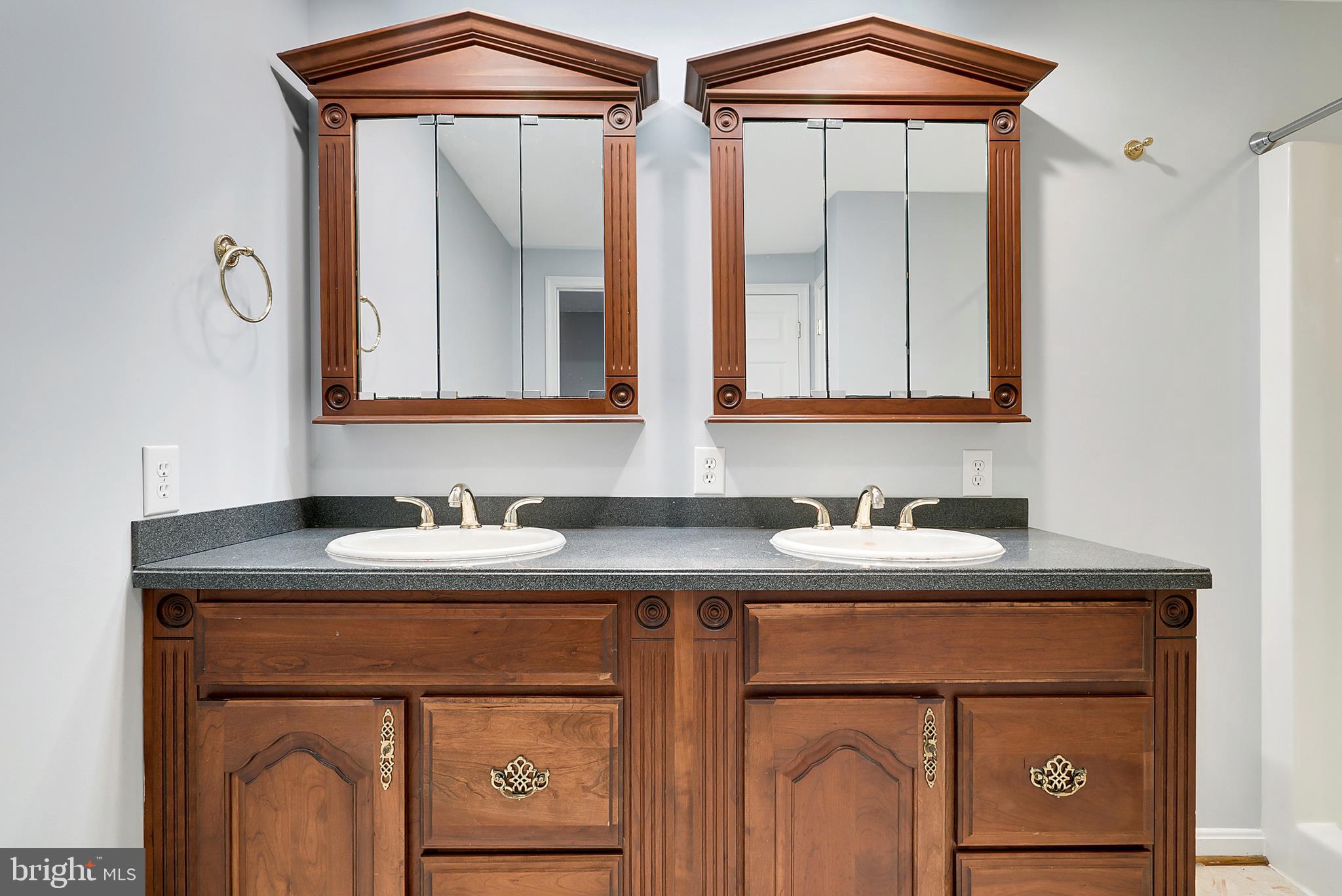 7149 Rogues Road Nokesville, VA 20181 - Photo 17 of 35 Master Bathroom