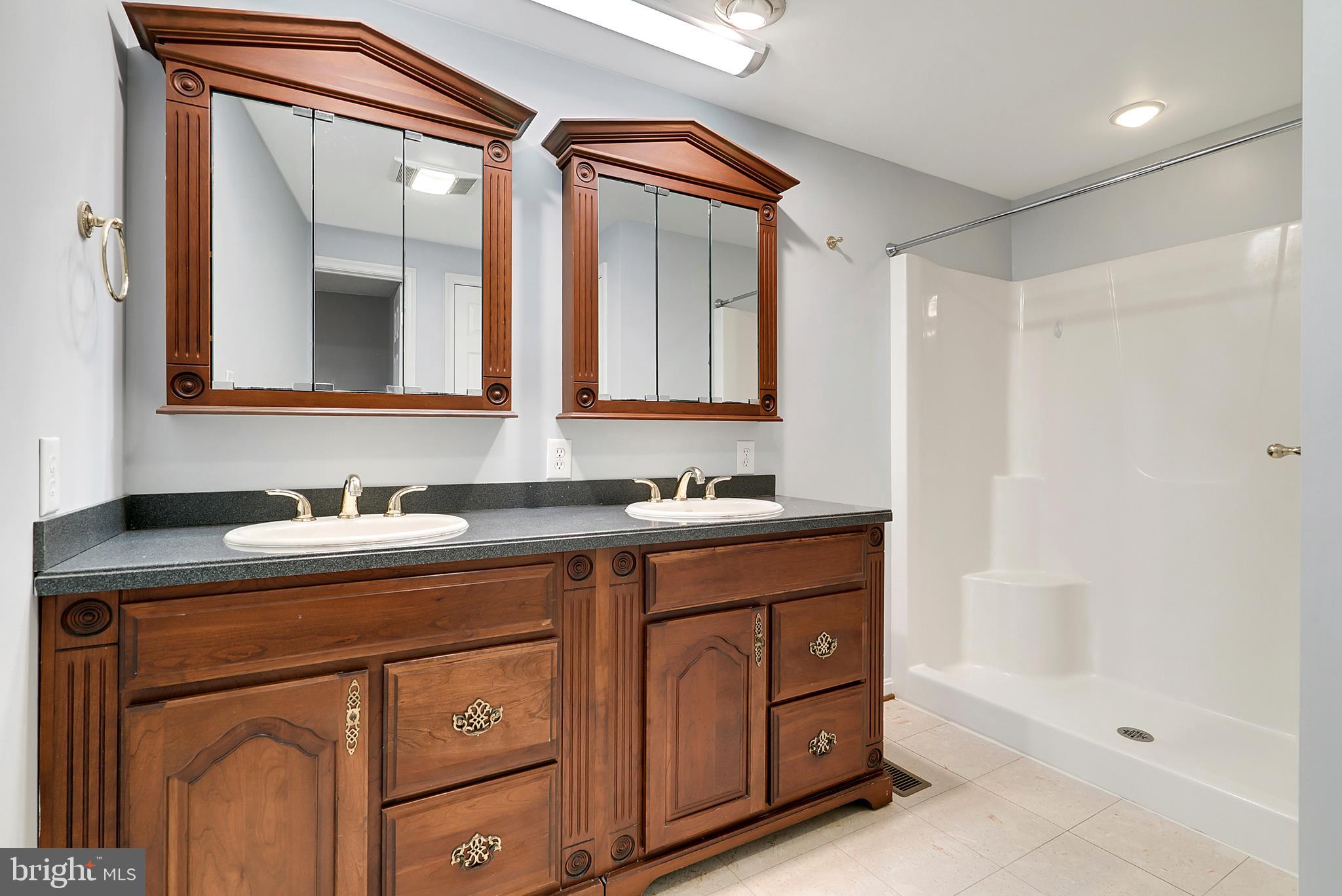 7149 Rogues Road Nokesville, VA 20181 - Photo 18 of 35 Master Bathroom