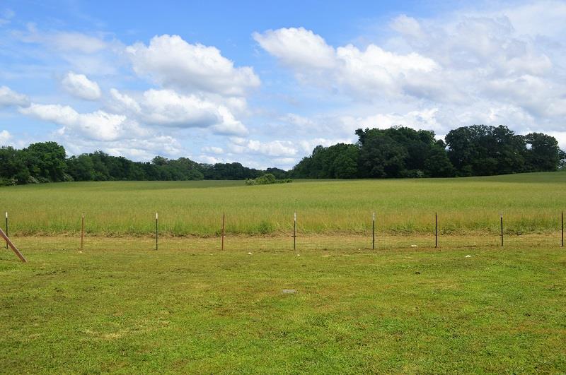 188 Modena Circle Decherd, TN 37324 - Photo 23 of 23 Peaceful country views from the back.