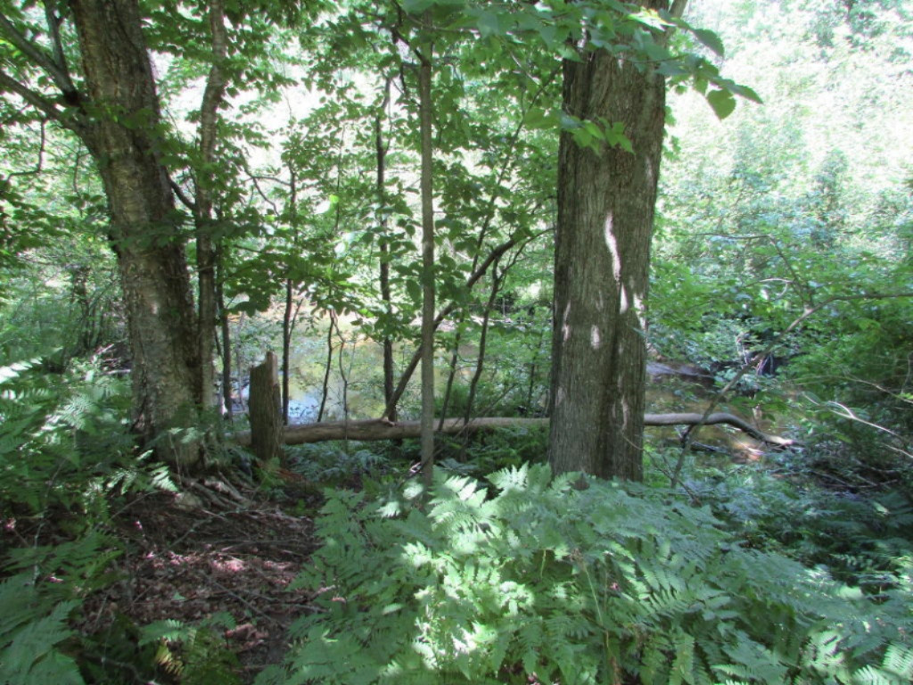3326 East Manales Road Fountain, MI 49410 - Photo 1 of 8 20160804192407199466000000-o