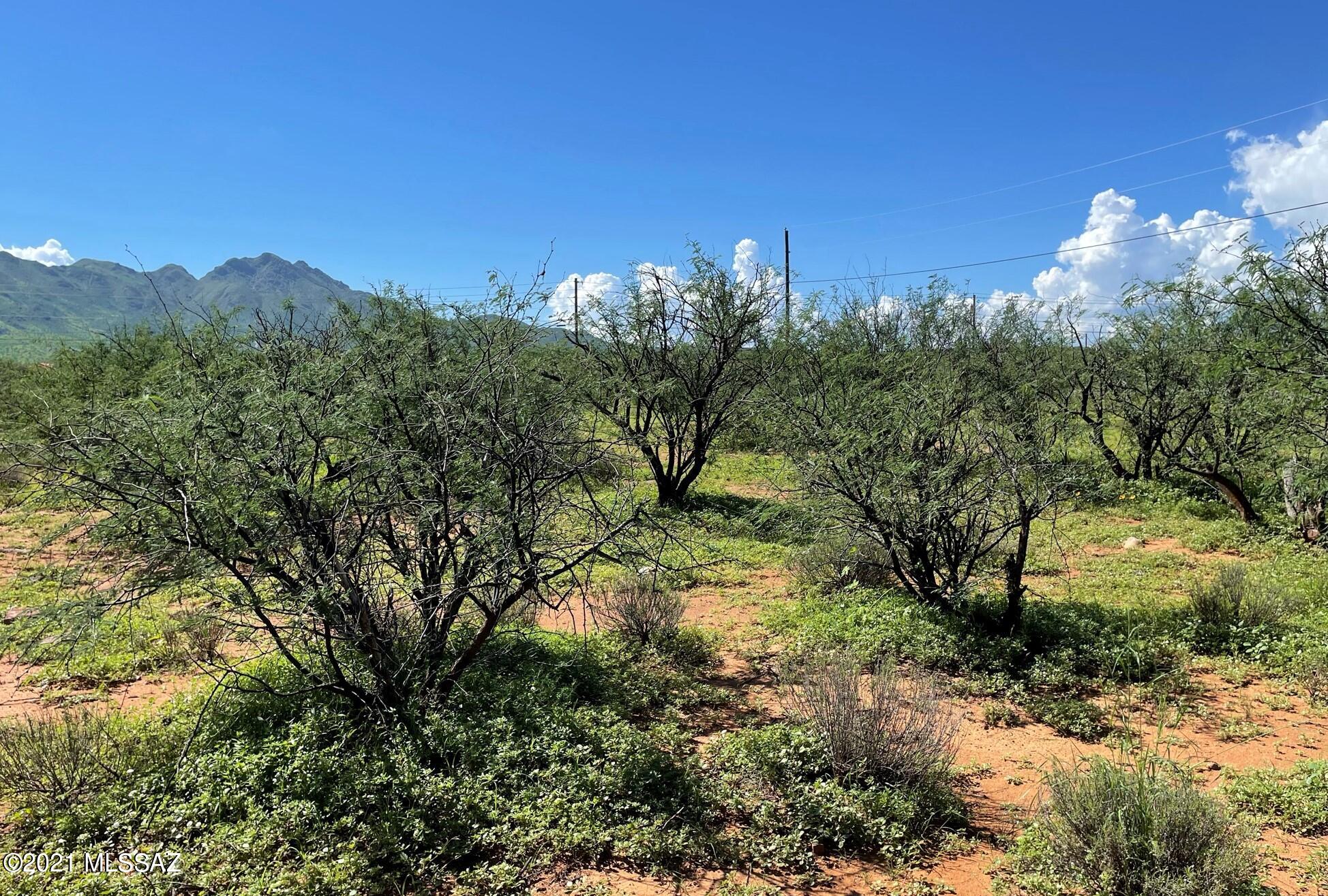 1860 Circulo Canada, Unit 5 Rio Rico, AZ 85648 - Photo 4 of 6