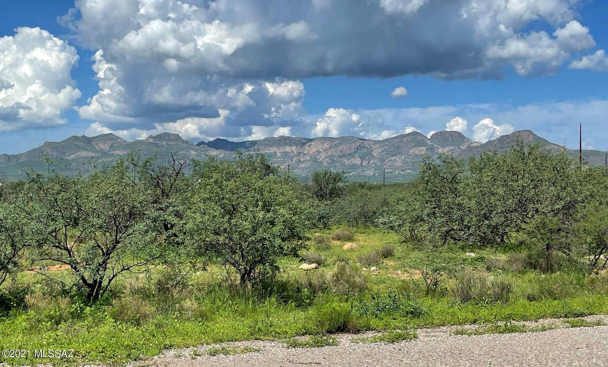 1860 Circulo Canada, Unit 5 Rio Rico, AZ 85648 - Photo 5 of 6