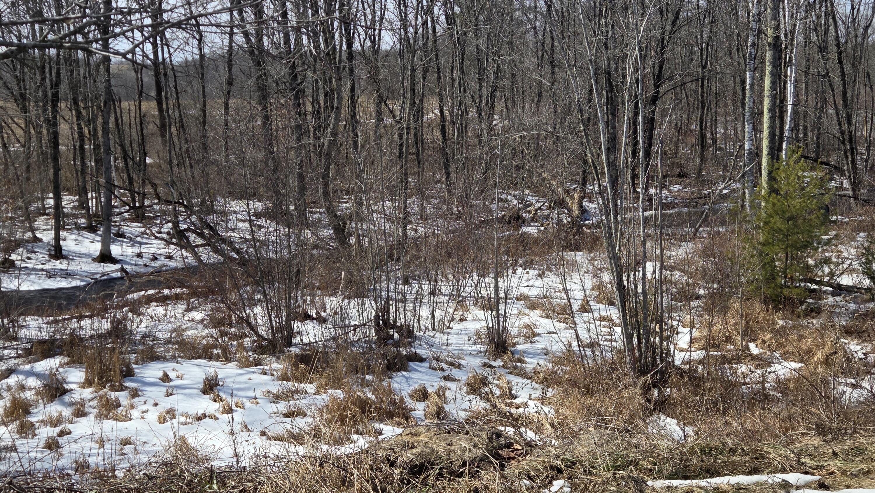 508 Horseback Road Clinton, ME 04927 - Photo 35 of 36 20260313_134516