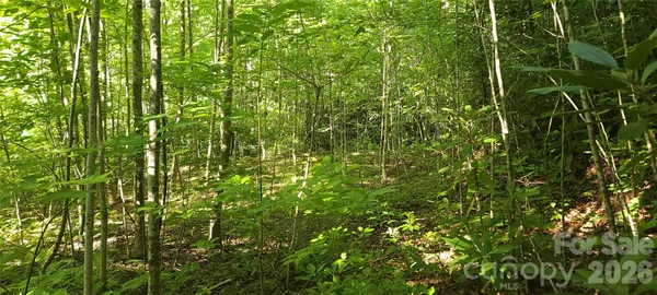 $39,000 | Lot#19 Mill Creek Road, Old Fort, NC 28762