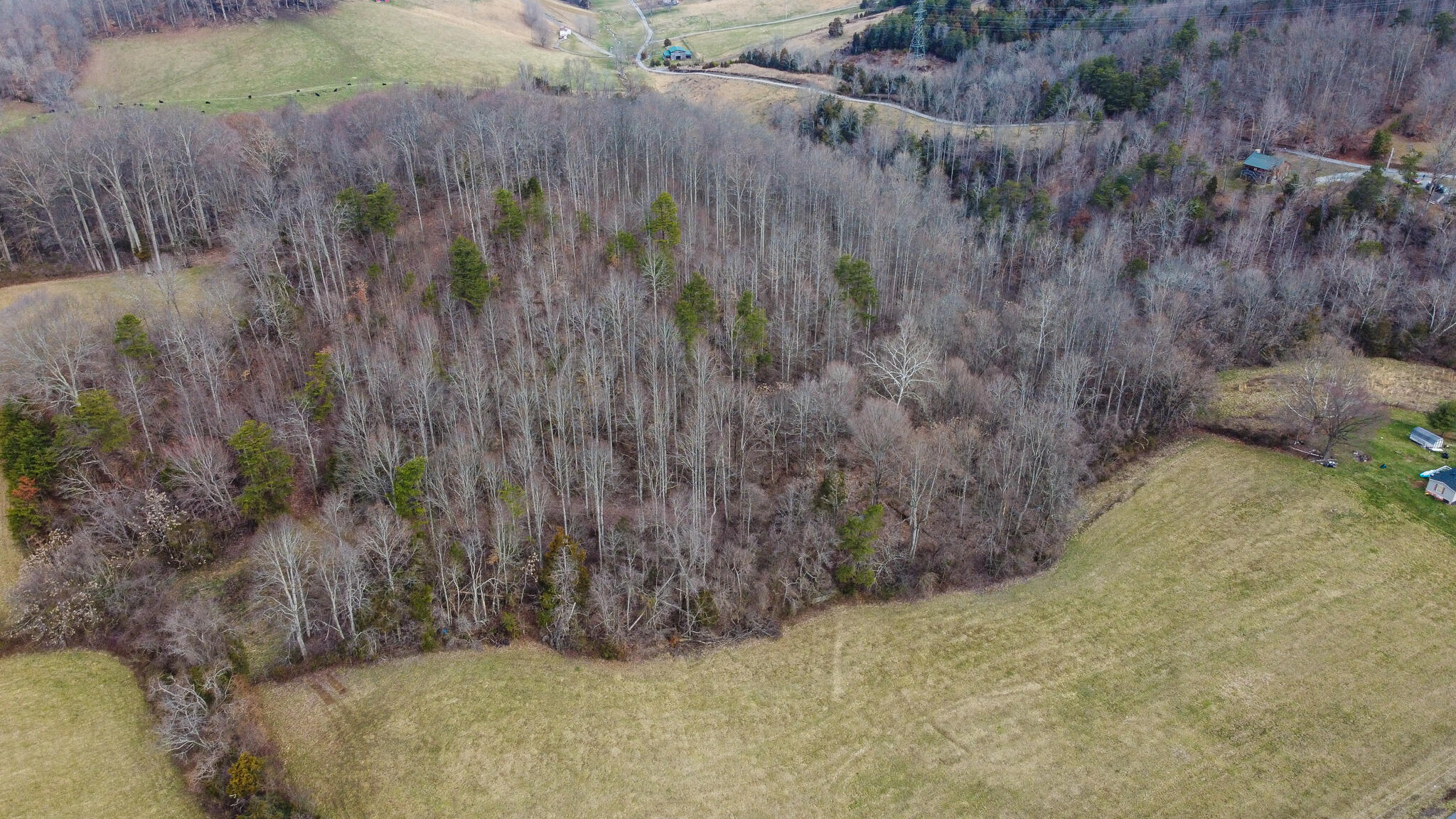 540 Church Road South Fall Branch, TN 37656 - Photo 33 of 34 33