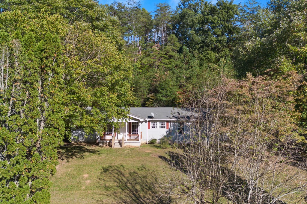 215 Maxwell Road Blue Ridge, GA 30513 - Photo 8 of 44