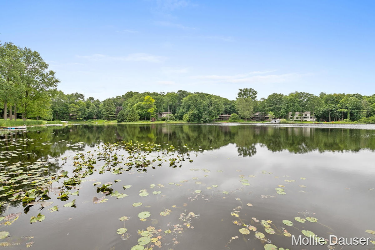 5900 Cascade Road Southeast Grand Rapids, MI 49546 - Photo 34 of 49 IMG_1033
