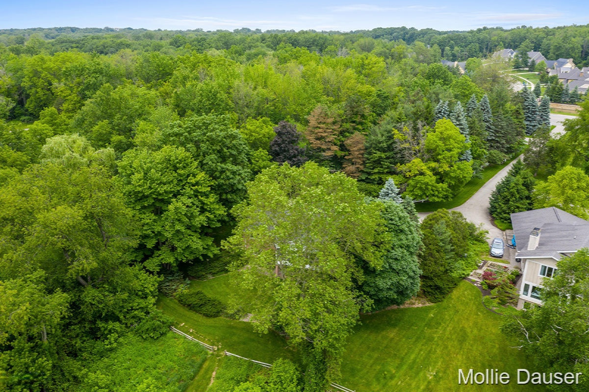 5900 Cascade Road Southeast Grand Rapids, MI 49546 - Photo 41 of 49 IMG_1040