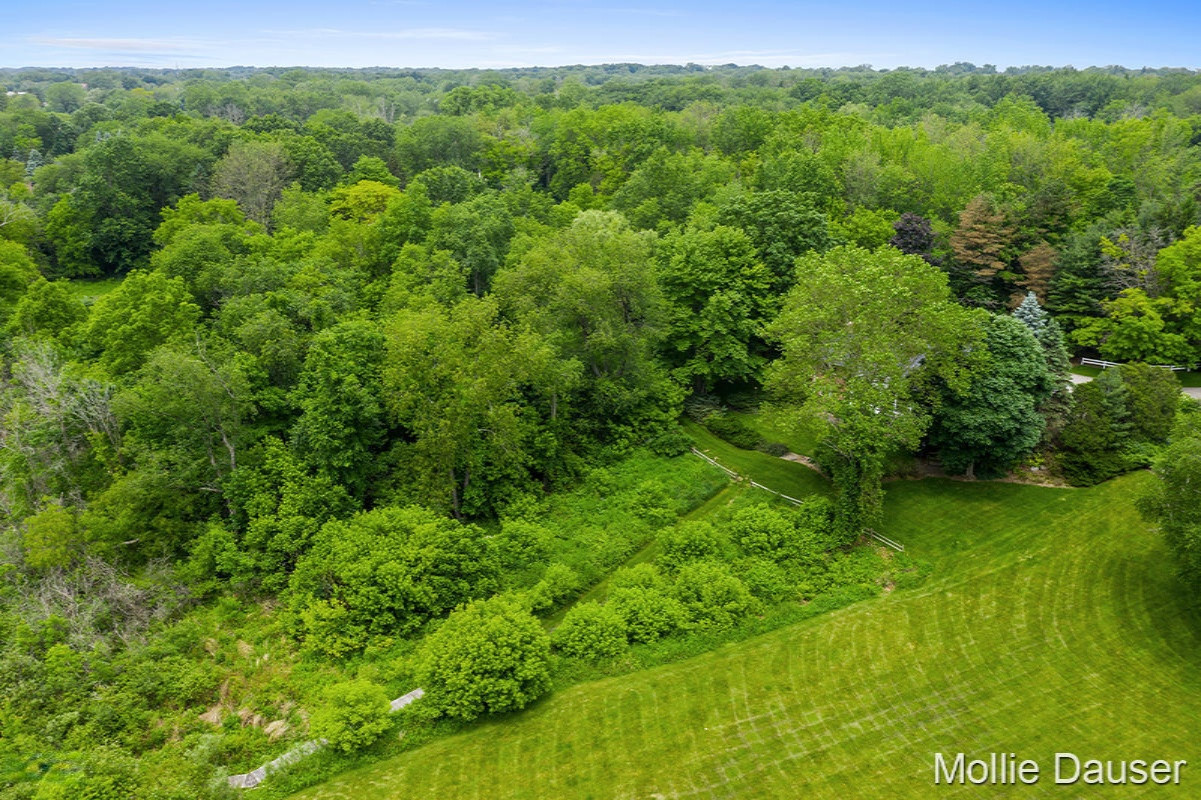 5900 Cascade Road Southeast Grand Rapids, MI 49546 - Photo 42 of 49 IMG_1041