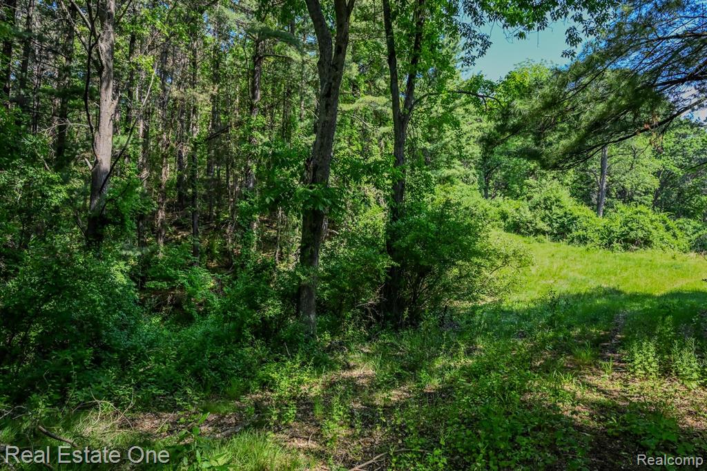 1832 West Commerce Road Milford, MI 48380 - Photo 4 of 13