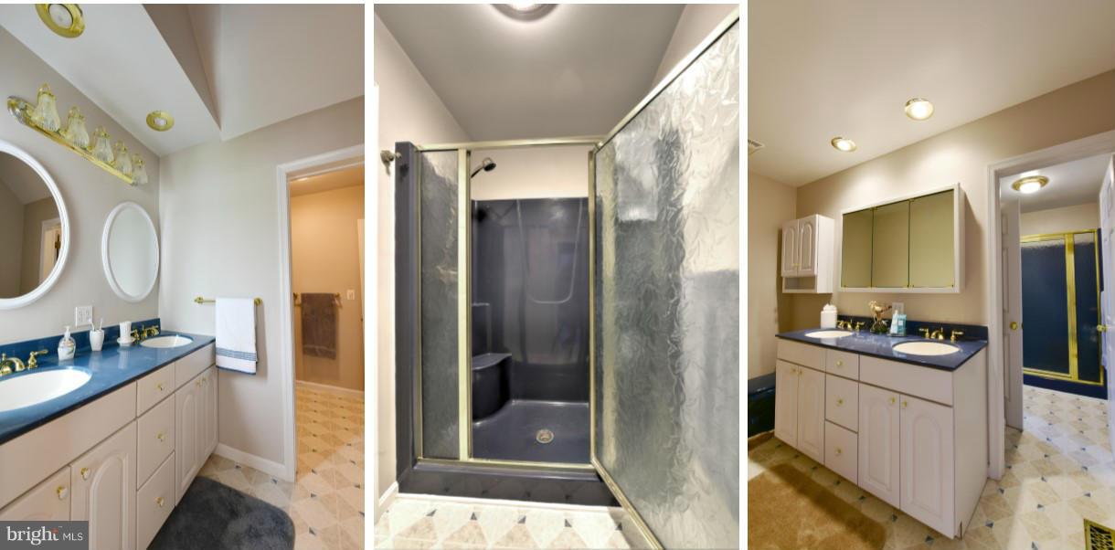 3916 New Section Road Baltimore, MD 21220 - Photo 22 of 24 Bath (Master)