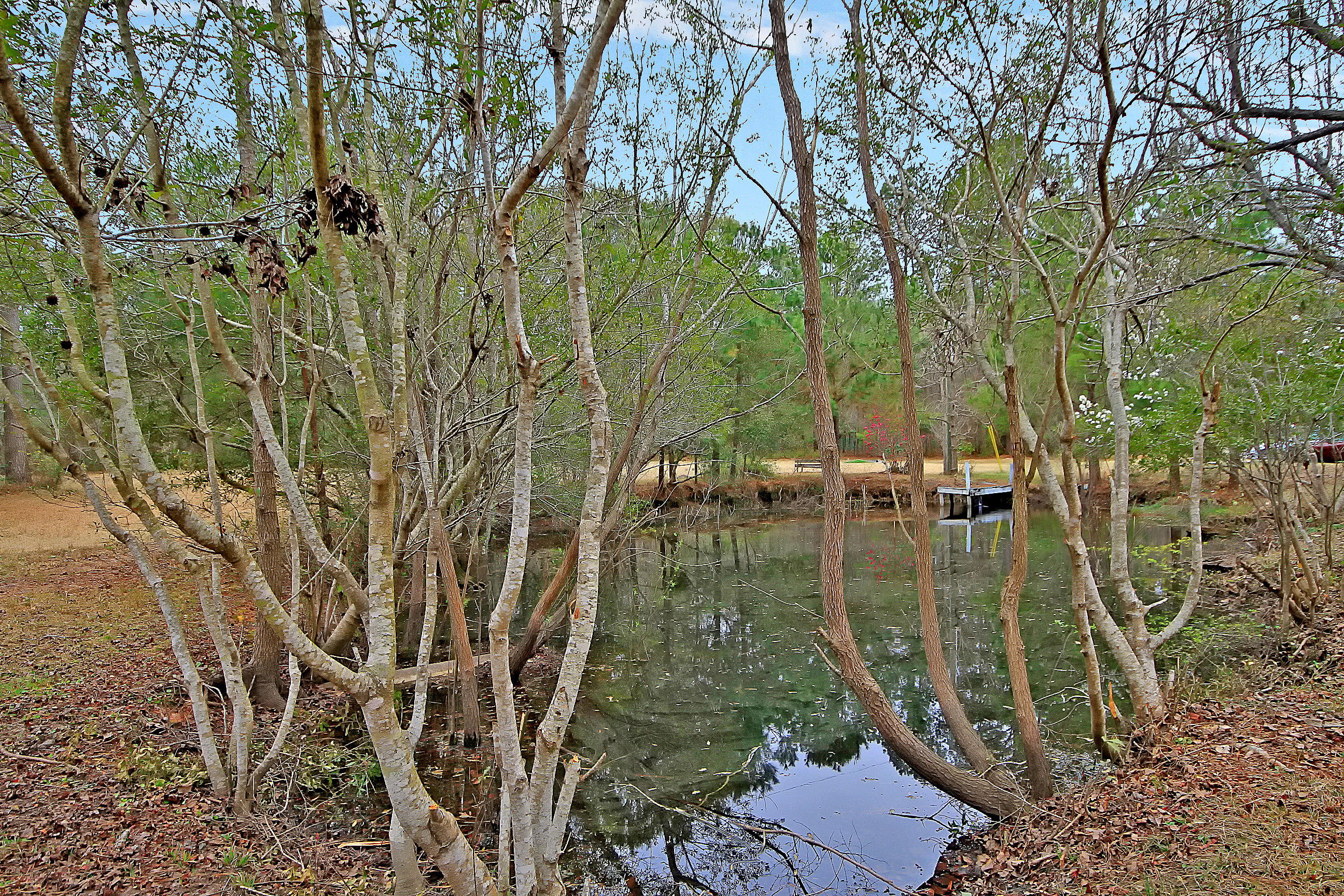 199 Dunmeyer Hill Road Ladson, SC 29485 - Photo 34 of 34 CREM_199 Dunmeyer Hill_002