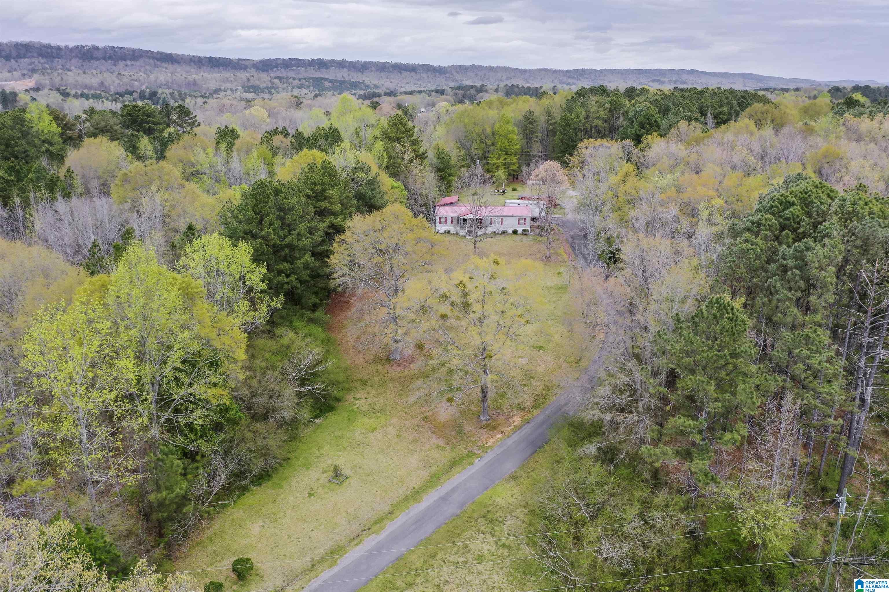 291 Brothers Road Gallant, AL 35972 - Photo 27 of 41