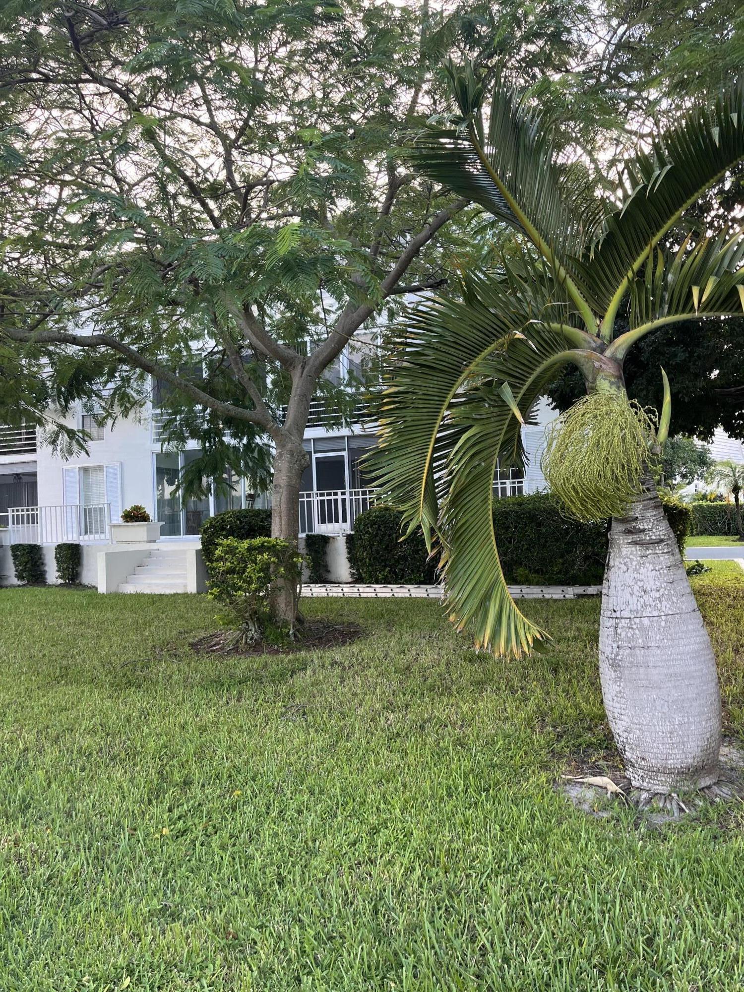 769 Jeffery Street, Unit 101 Boca Raton, FL 33487 - Photo 3 of 9 IMG_4266