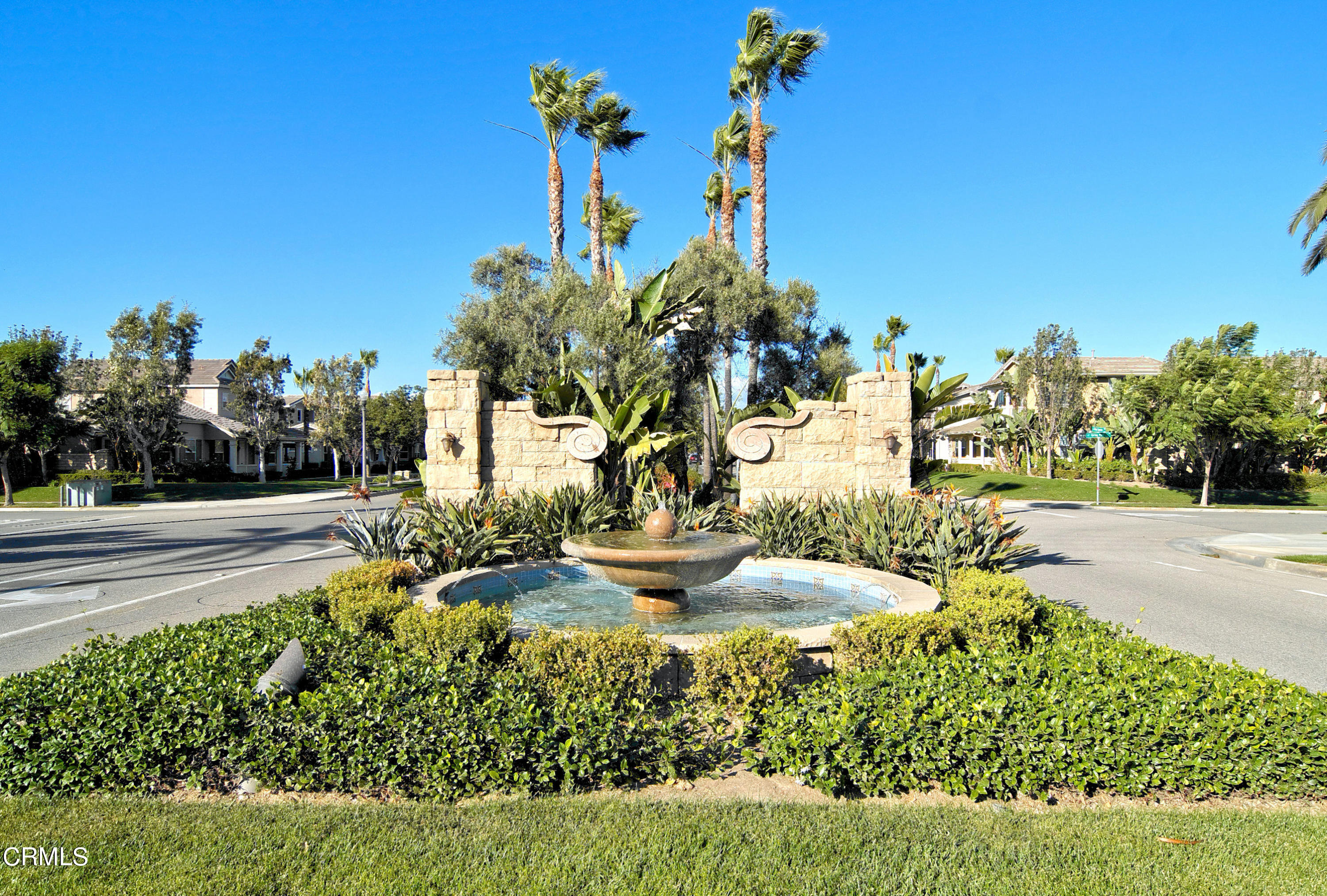 3064 White Rock Road Camarillo, CA 93012 - Photo 33 of 47 a view of a yard with palm trees