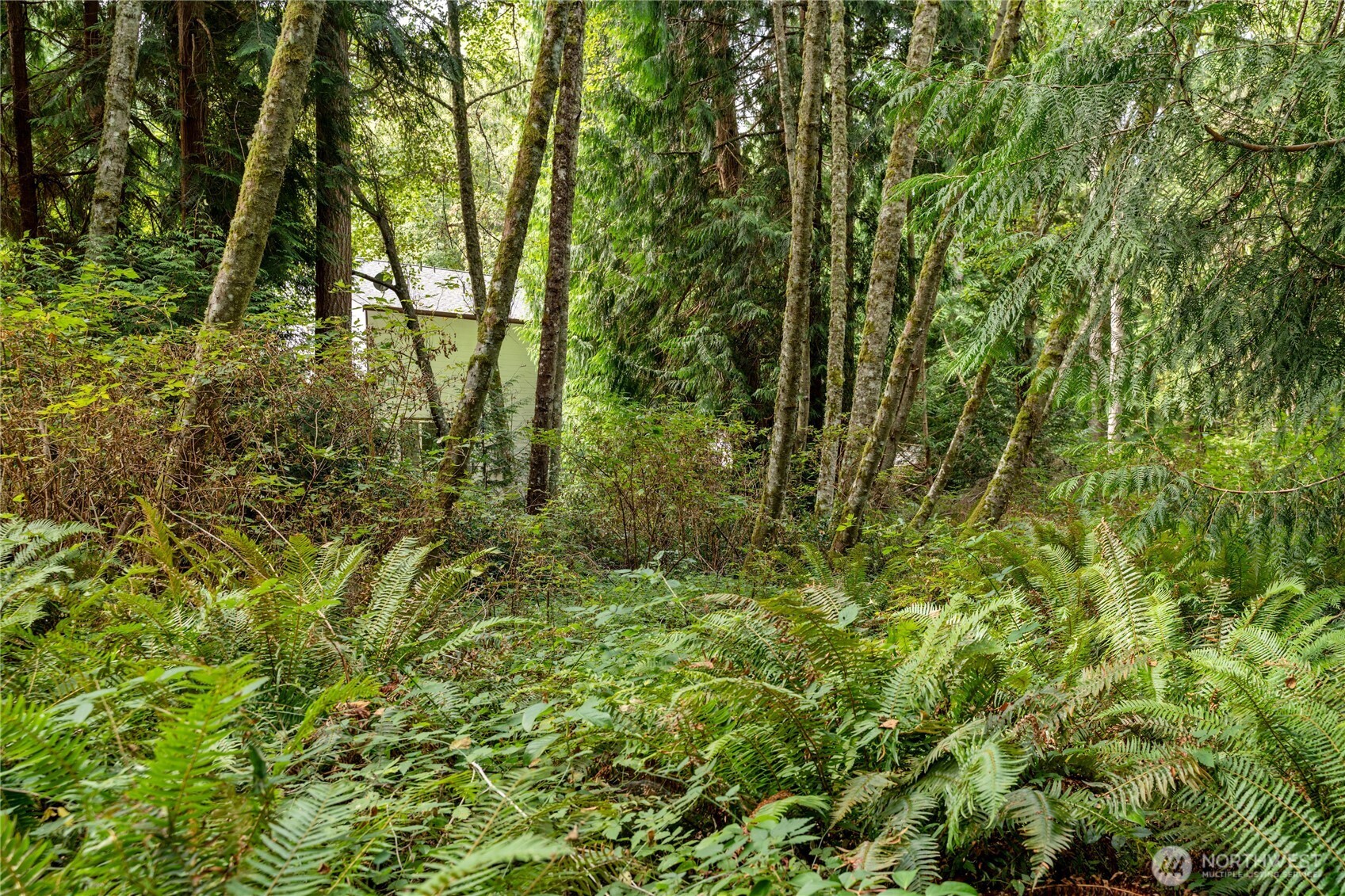 4105 Tartan Way Clinton, WA 98236 - Photo 10 of 18 a view of forest