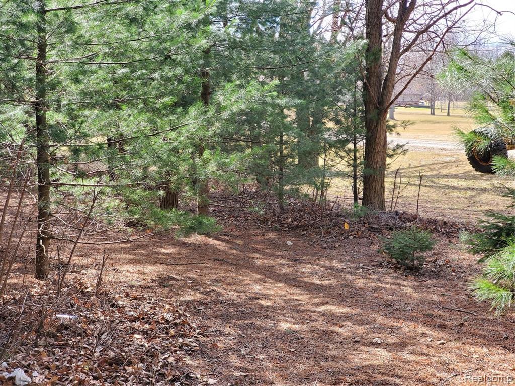 11883 Yale Road Yale, MI 48097 - Photo 48 of 54