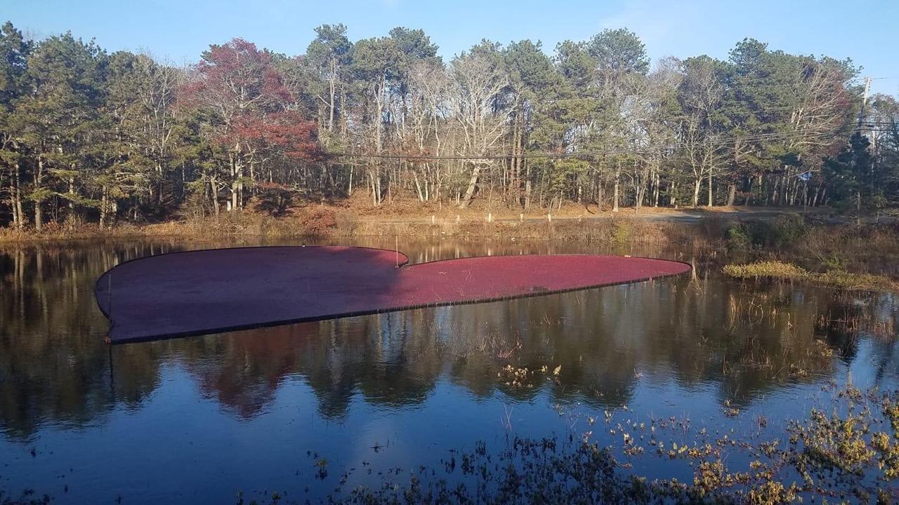 0 Bumps River Road Osterville, MA 02655 - Photo 1 of 5 0 Bumps River Cranberry bog heart shape