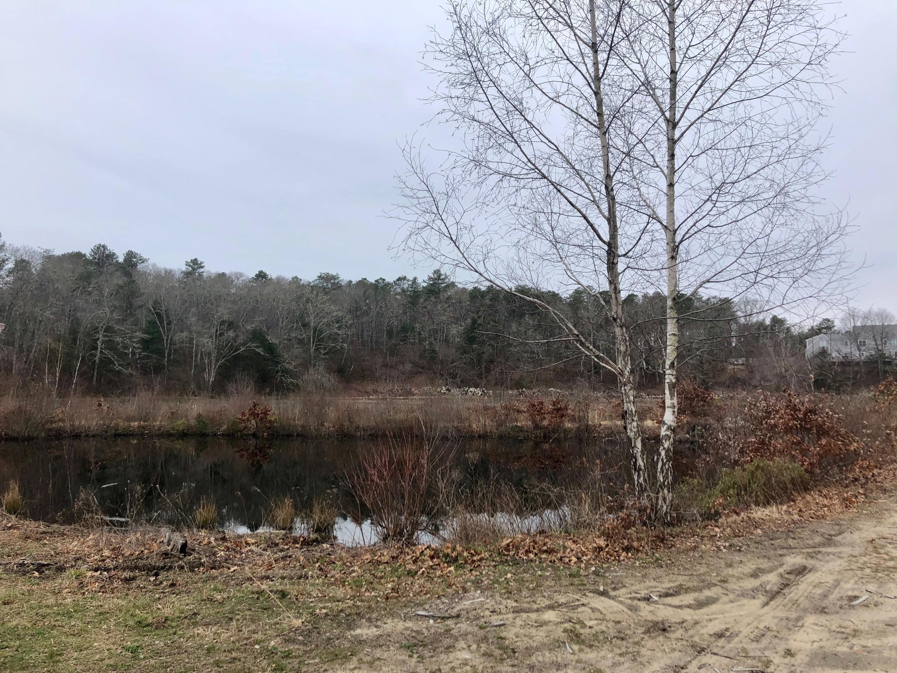 0 Bumps River Road Osterville, MA 02655 - Photo 2 of 5 1