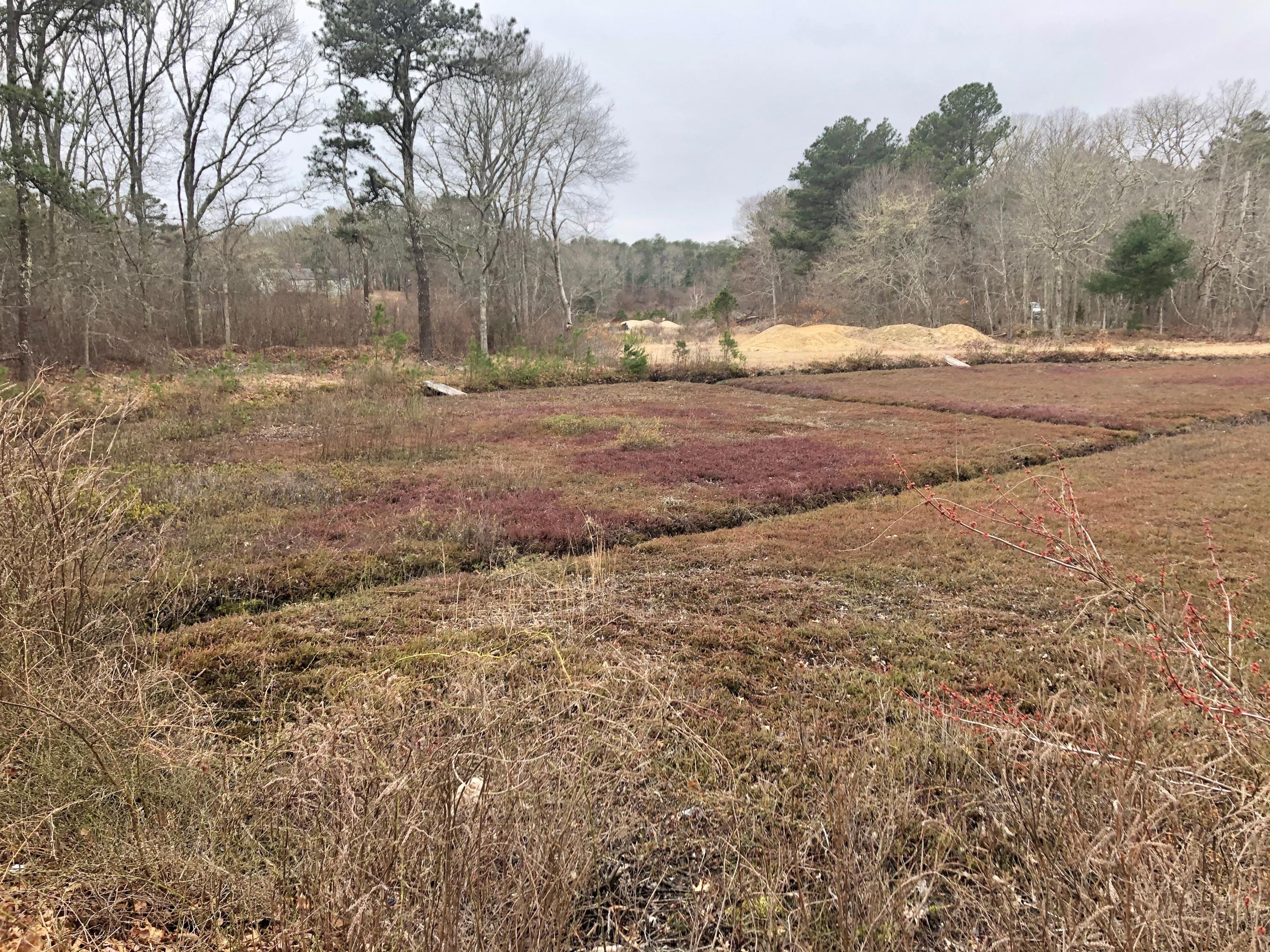 0 Bumps River Road Osterville, MA 02655 - Photo 3 of 5 IMG_1317