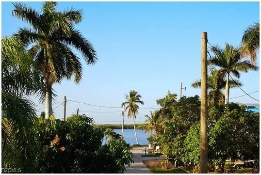 a couple of palm trees sitting in front of a house