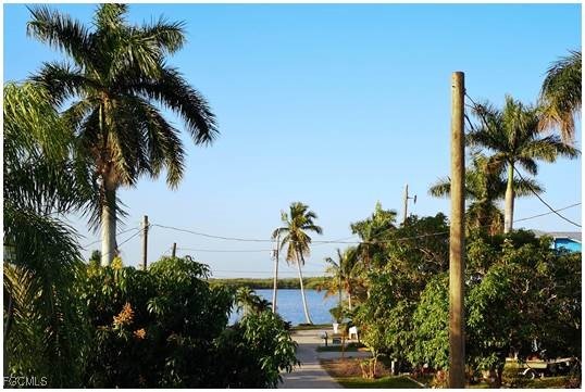 2579 Third Street Matlacha, FL 33993 - Photo 38 of 46 a couple of palm trees sitting in front of a house
