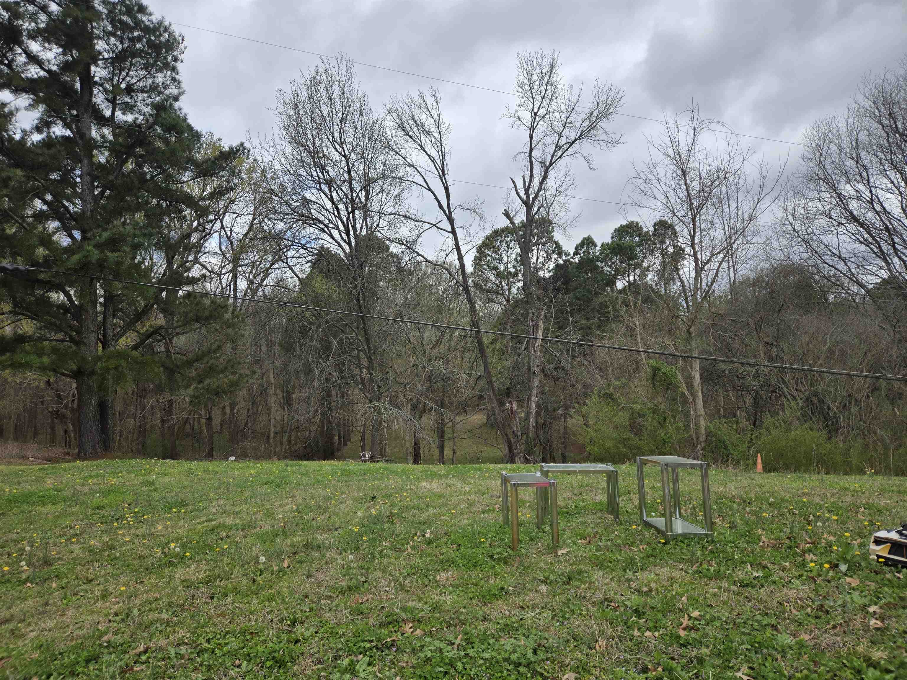 3415 Outlet Road Memphis, TN 38109 - Photo 2 of 2 View of grassy yard