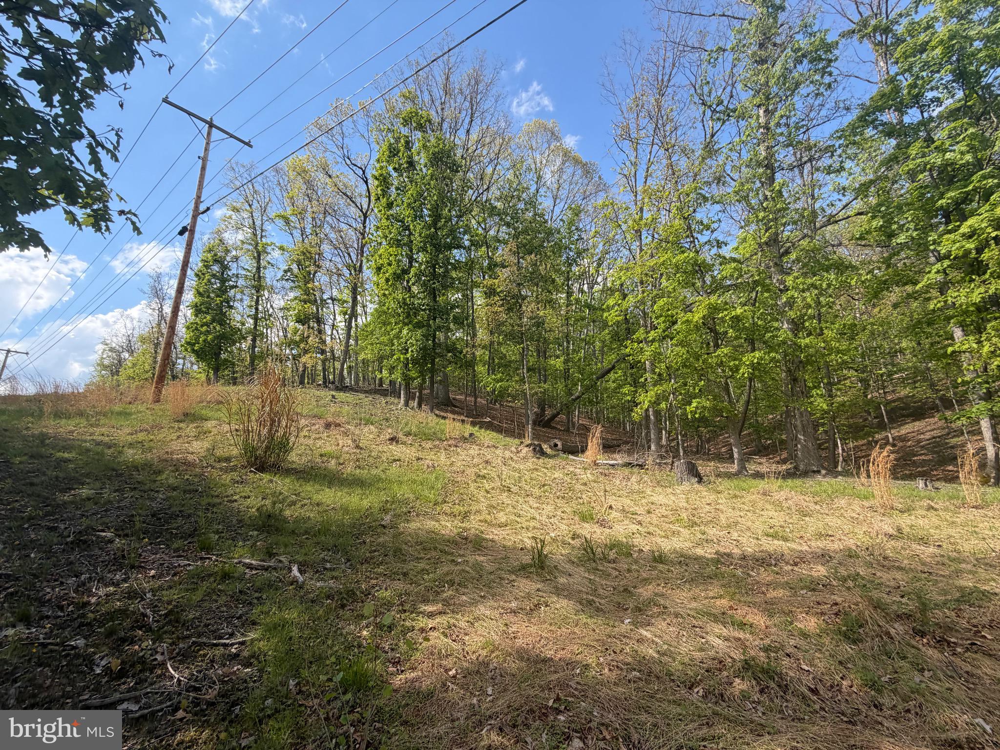 0 Baker Hollow Road Fort Ashby, WV 26719 - Photo 5 of 6